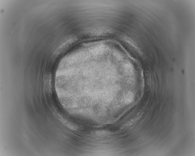 X0000070430590200606302128