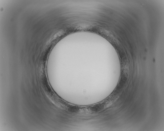 X0000070430591200606302128