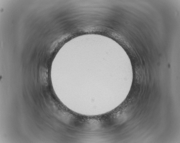 X0000070430592200606302128