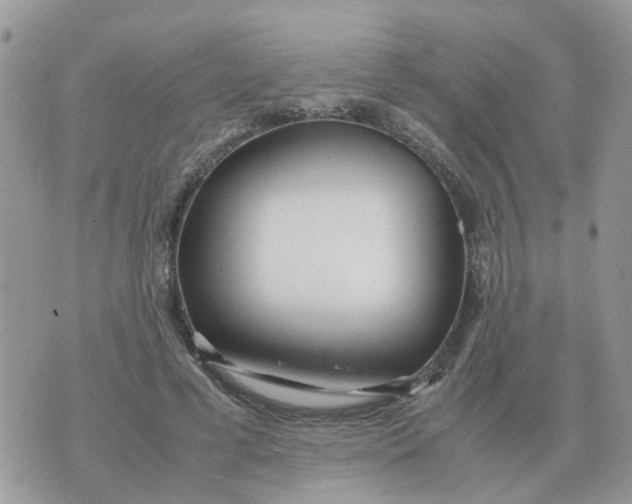 X0000070430593200606302128