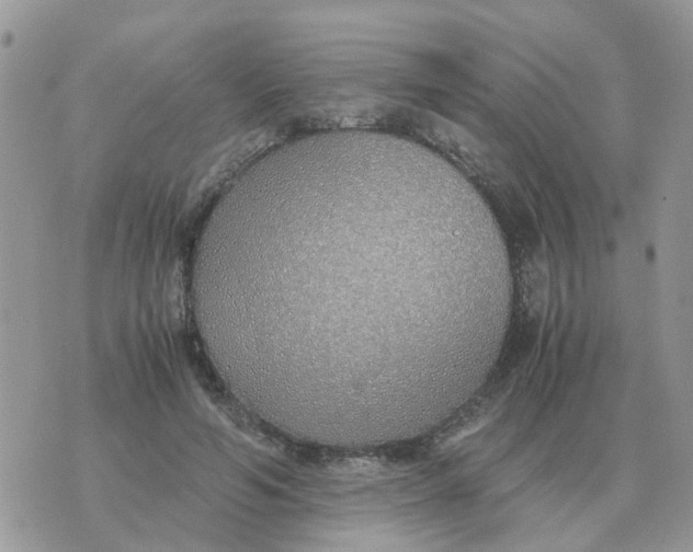 X0000070430594200606302128