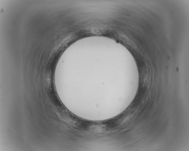 X0000070430595200606302128