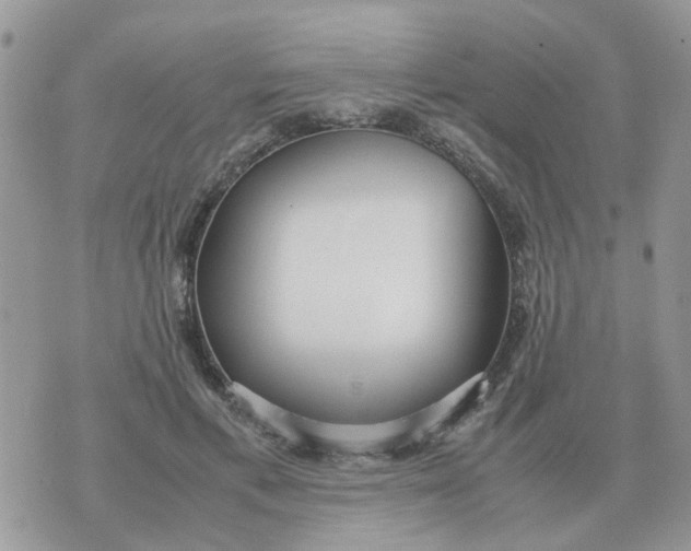 X0000070430597200606302128