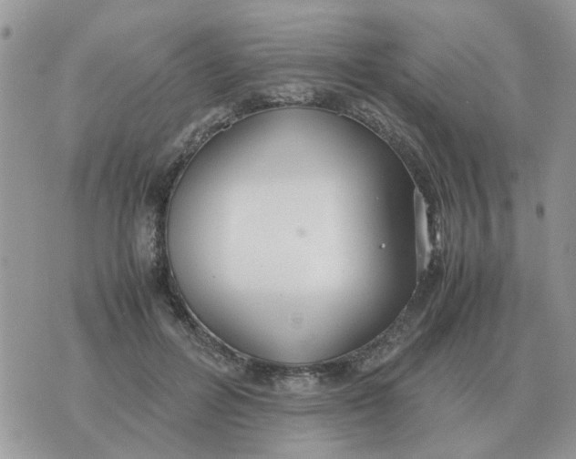 X0000070430600200606302128