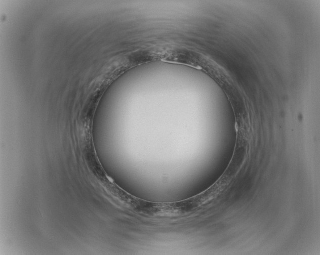 X0000070430601200606302128