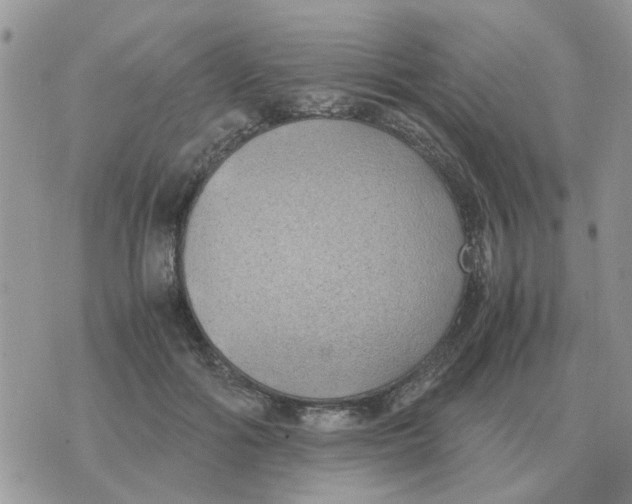 X0000070430602200606302128