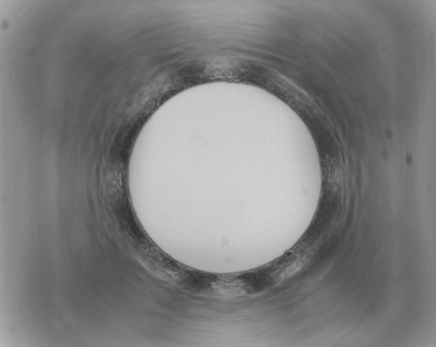 X0000070430603200606302128