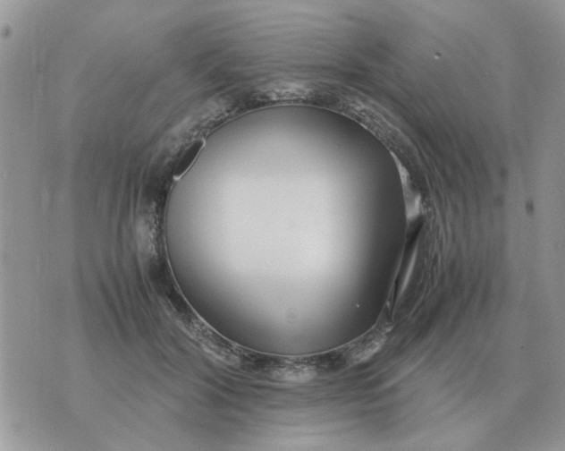 X0000070430604200606302128