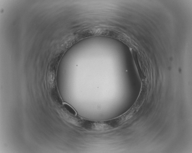 X0000070430605200606302128