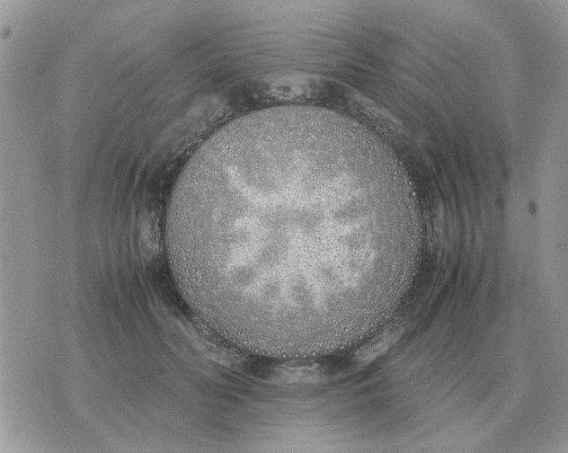 X0000070430606200606302128