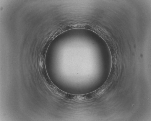 X0000070430607200606302128