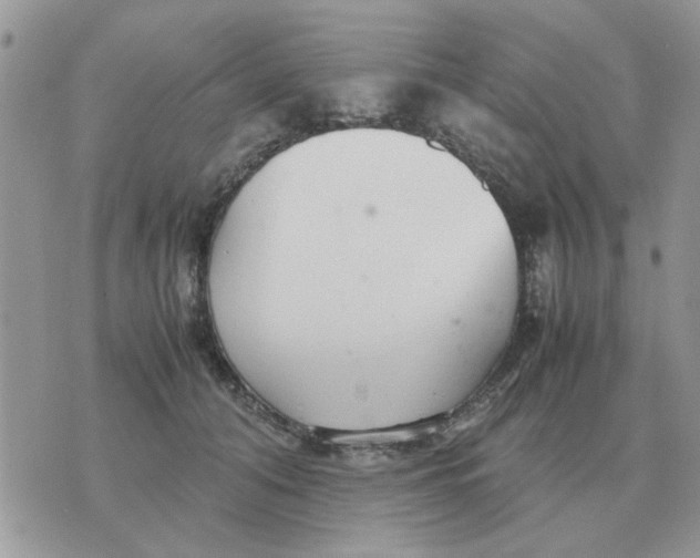 X0000070430608200606302128