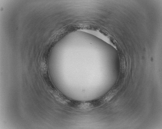 X0000070430609200606302128