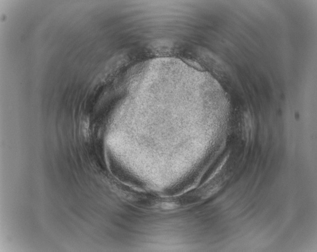 X0000070430610200606302128