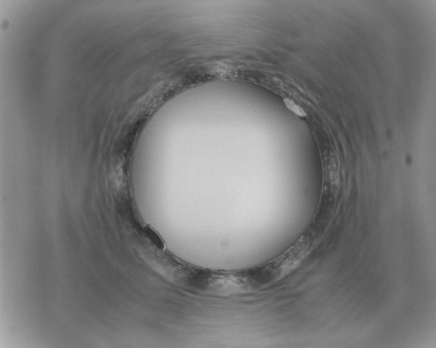 X0000070430611200606302128