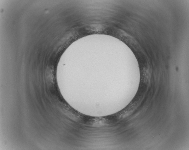 X0000070430612200606302128