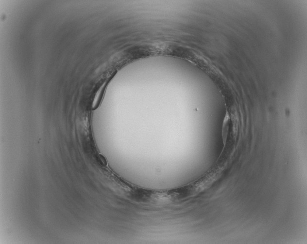 X0000070430613200606302128