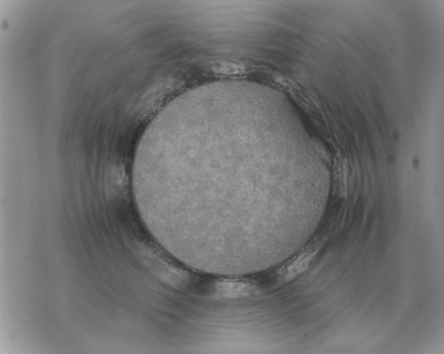 X0000070430614200606302128