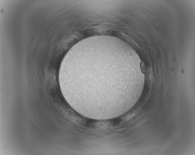 X0000070430615200606302128