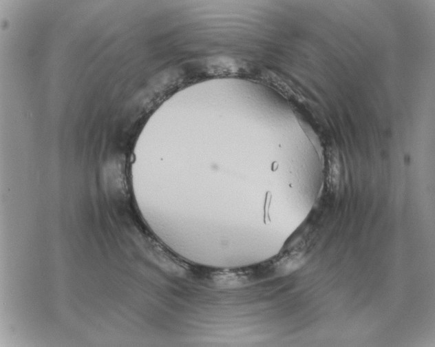 X0000070430616200606302128