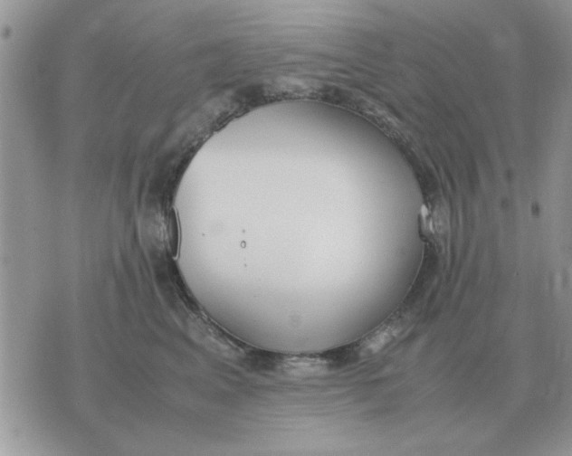 X0000070430617200606302128