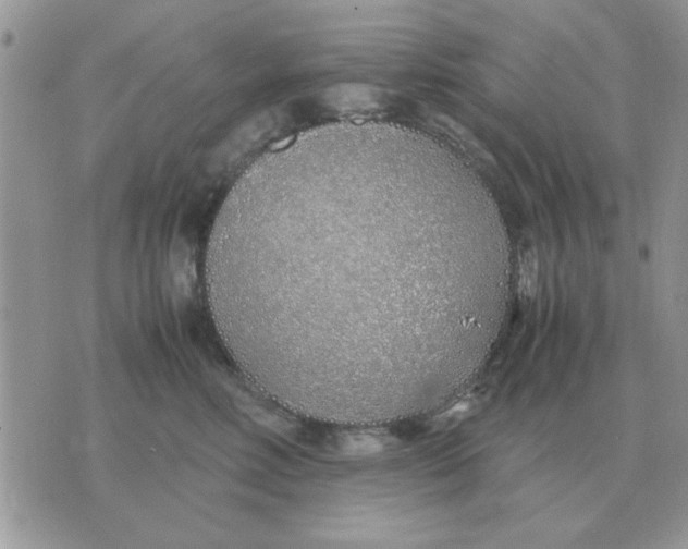 X0000070430618200606302128