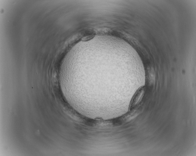 X0000070430619200606302128