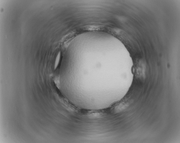 X0000070430620200606302128