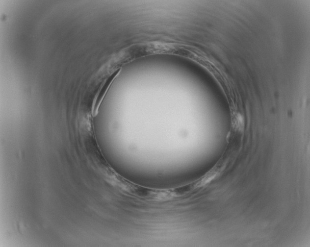 X0000070430621200606302128