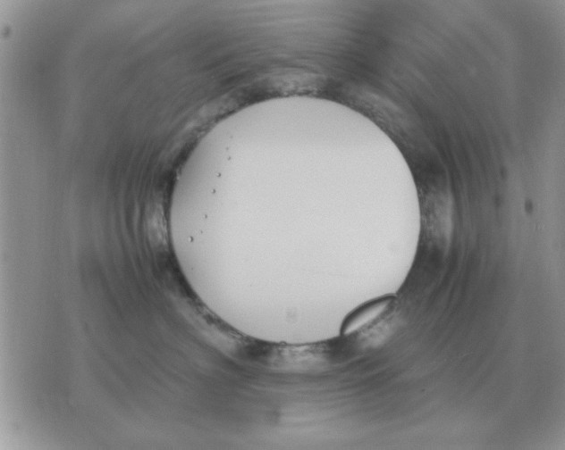 X0000070430622200606302128