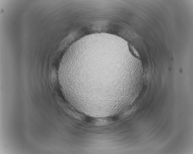 X0000070430623200606302128