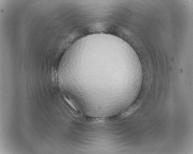 X0000070430624200606302128