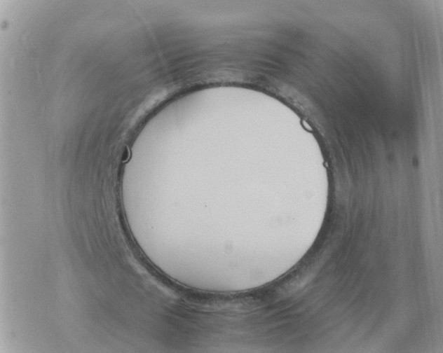 X0000070430625200606302127