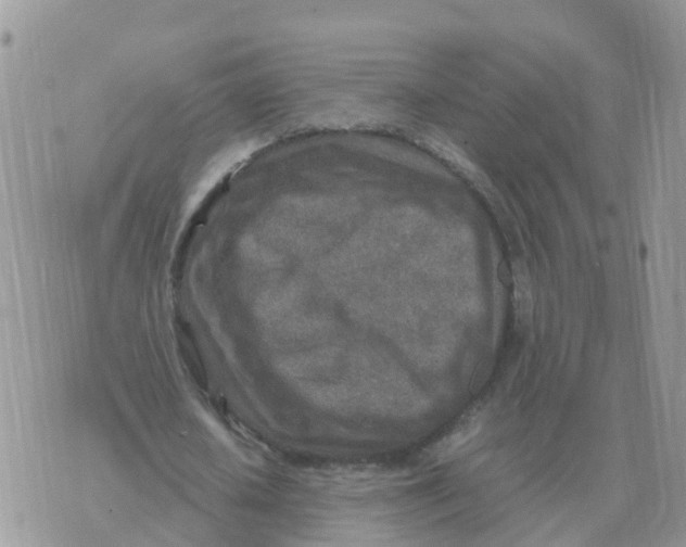 X0000070430626200606302127