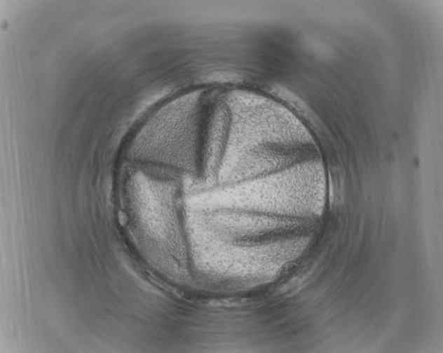 X0000070430627200606302127