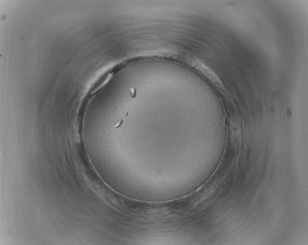 X0000070430628200606302127