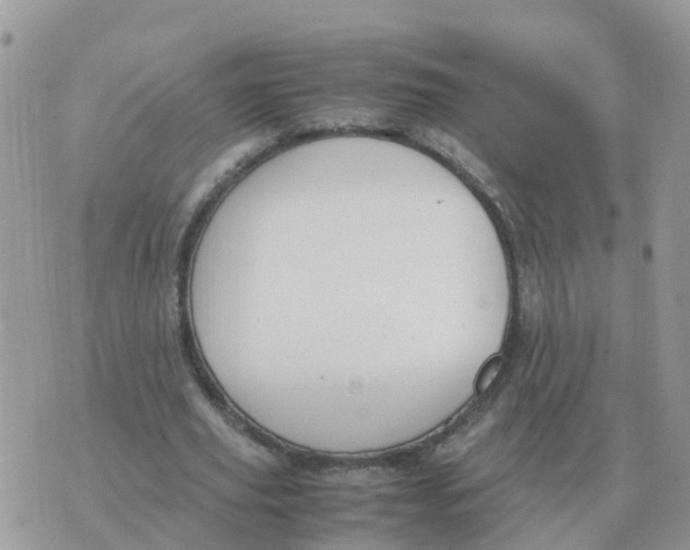 X0000070430629200606302127