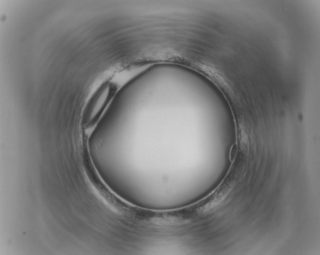 X0000070430630200606302127