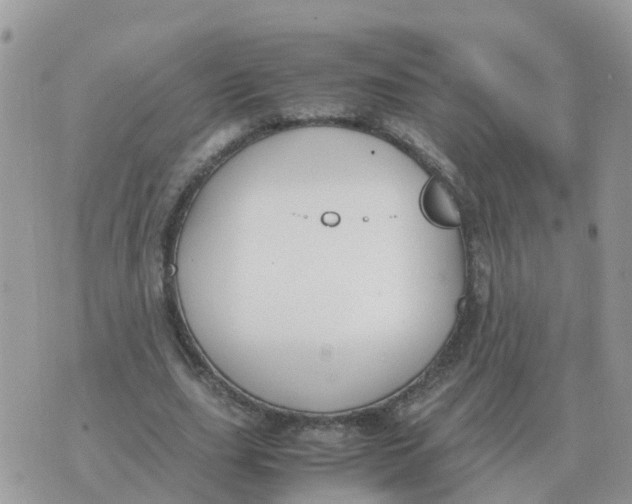 X0000070430631200606302127