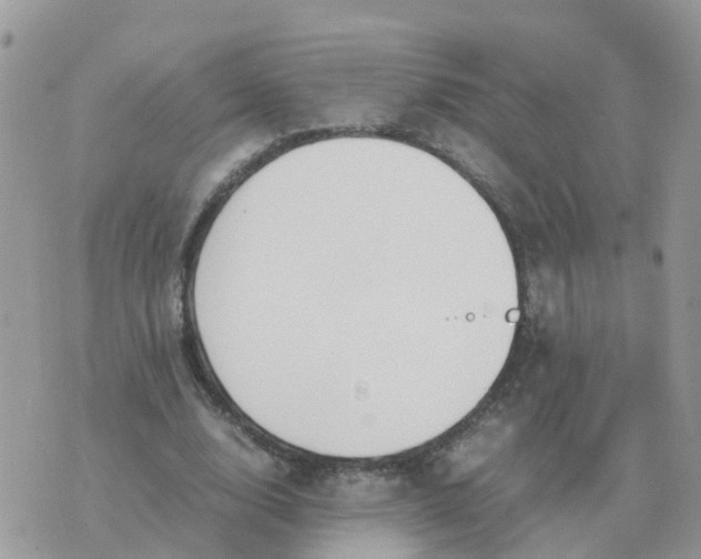 X0000070430632200606302127