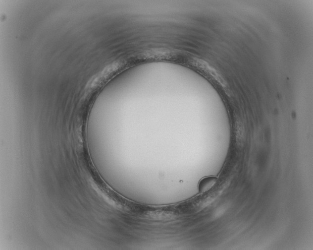 X0000070430633200606302127