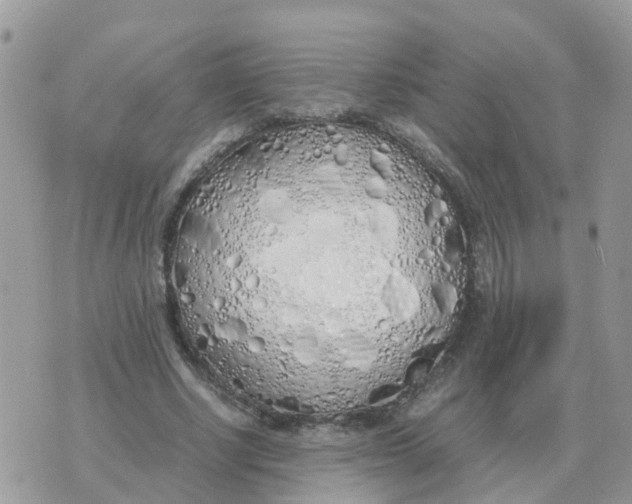 X0000070430634200606302127