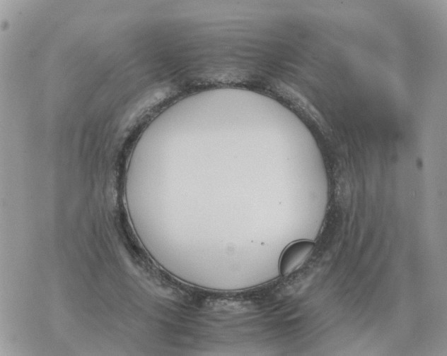 X0000070430635200606302127