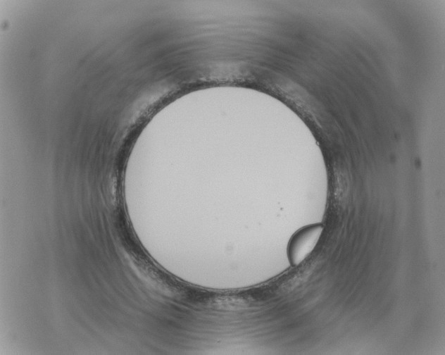 X0000070430636200606302127