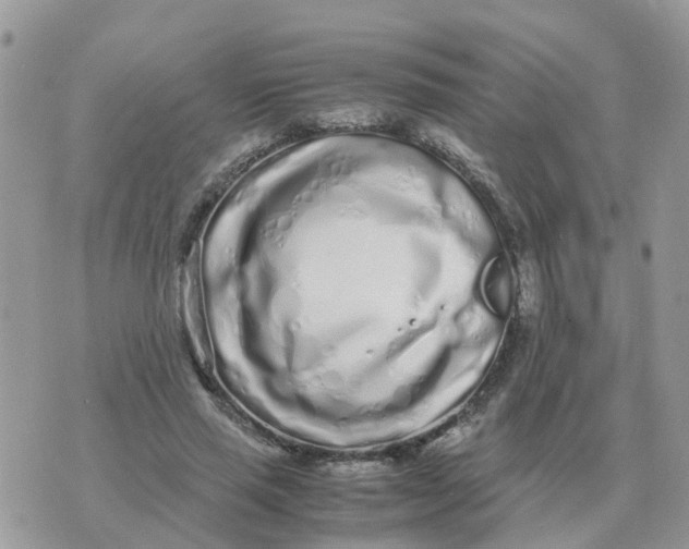 X0000070430637200606302127