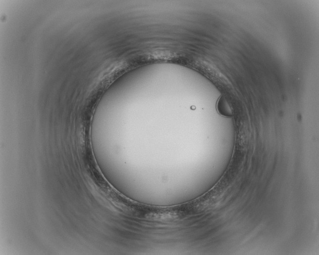 X0000070430639200606302127