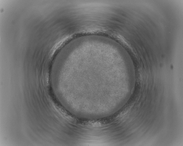 X0000070430640200606302127