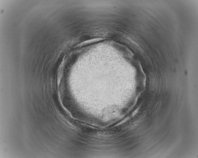 X0000070430641200606302127