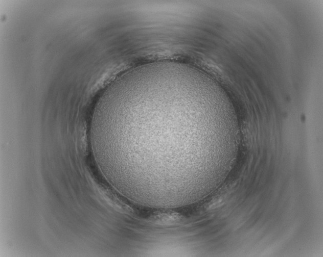 X0000070430642200606302127