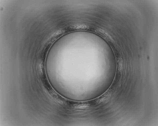 X0000070430643200606302127